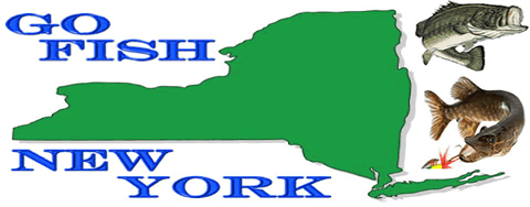 Go Fish New York! Fishing licenses, lake info, more...