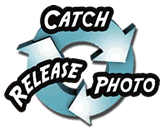 Cath-Photo-Release - 2019 Better Half Tour